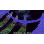 Creeper World 3: Arc Eternal