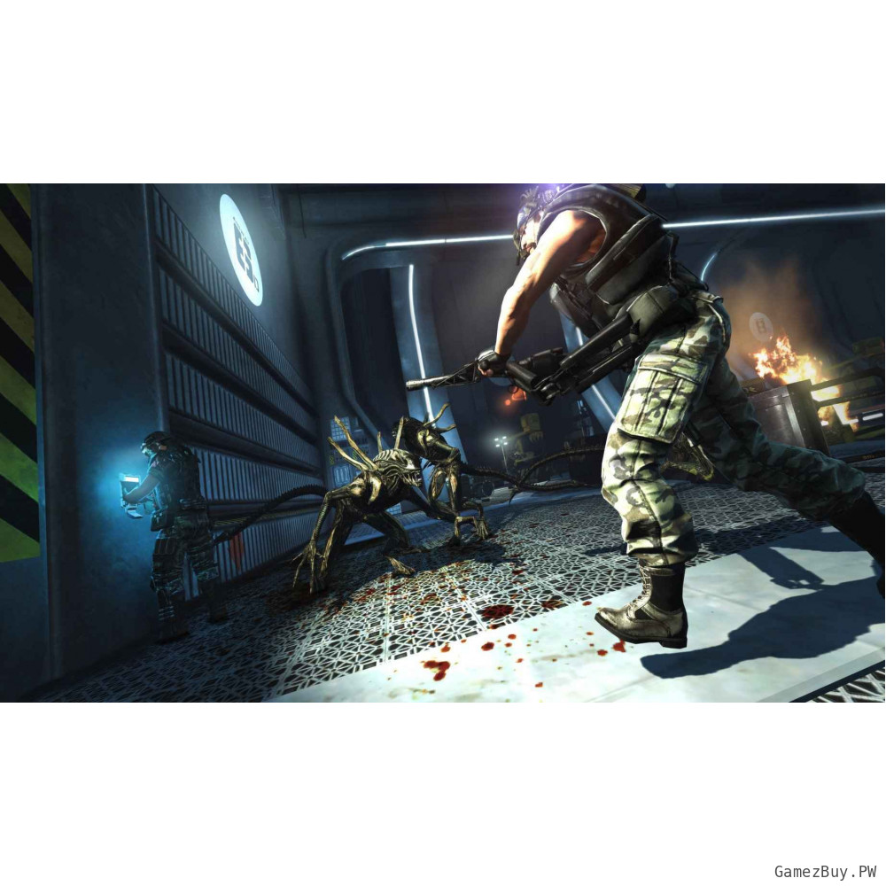 Aliens Colonial Marines Collection