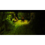 Dungeons