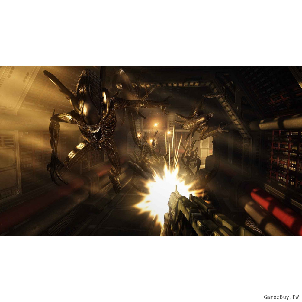 Aliens vs. Predator Collection