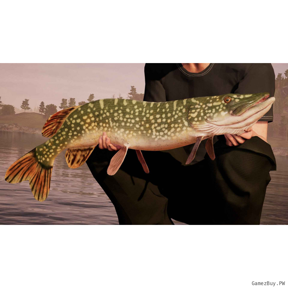 Fishing Sim World