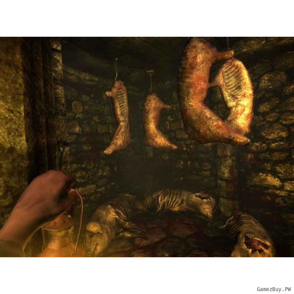 Amnesia: The Dark Descent
