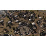 Men of War : Assault Squad 2 - Airborne