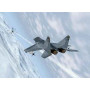 MiG-29 Fulcrum