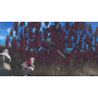 NARUTO SHIPPUDEN: Ultimate Ninja STORM 2