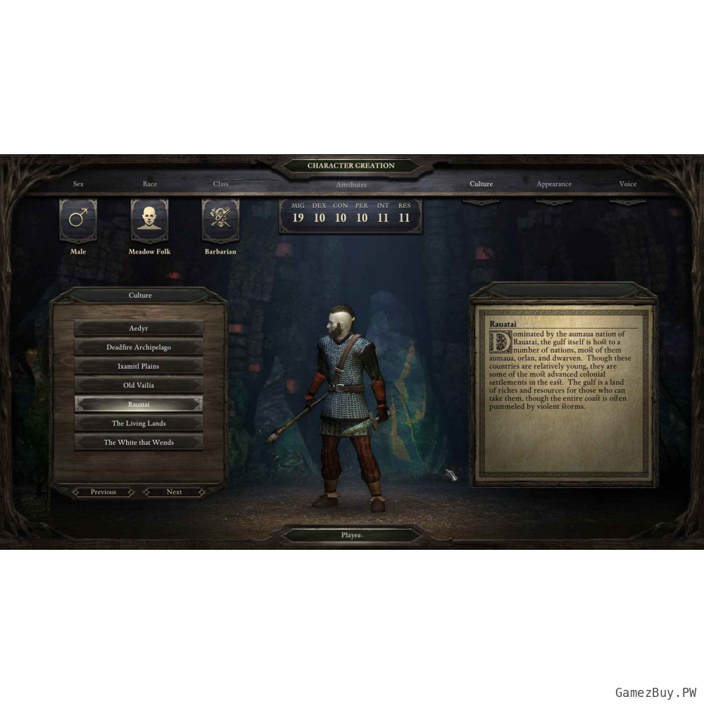 Pillars of Eternity Hero Edition