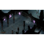 Pillars of Eternity Hero Edition