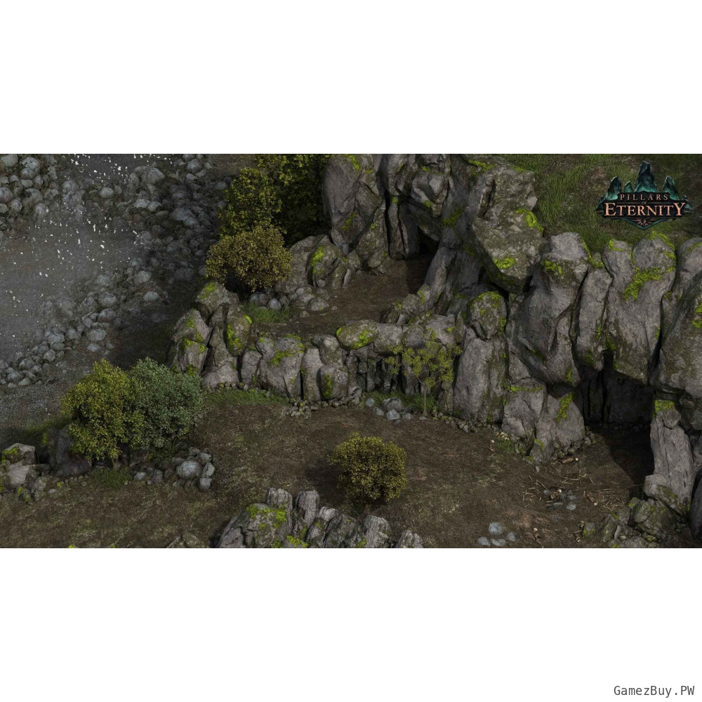 Pillars of Eternity Hero Edition