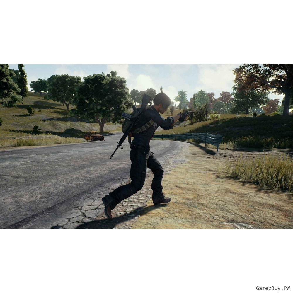PUBG (Steam Gift СНГ)