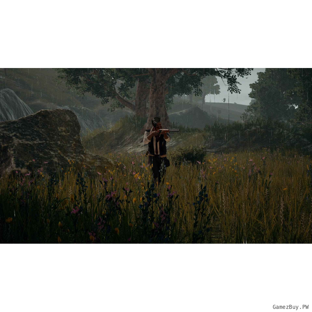 PUBG (Steam Gift СНГ)