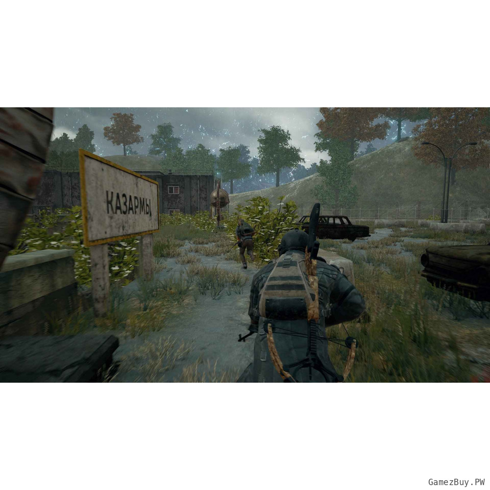 PUBG (Steam Gift СНГ)