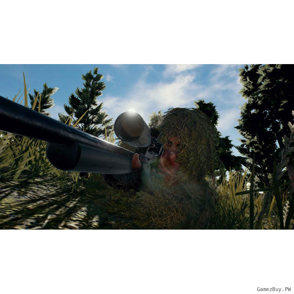 PUBG (Steam Gift СНГ)