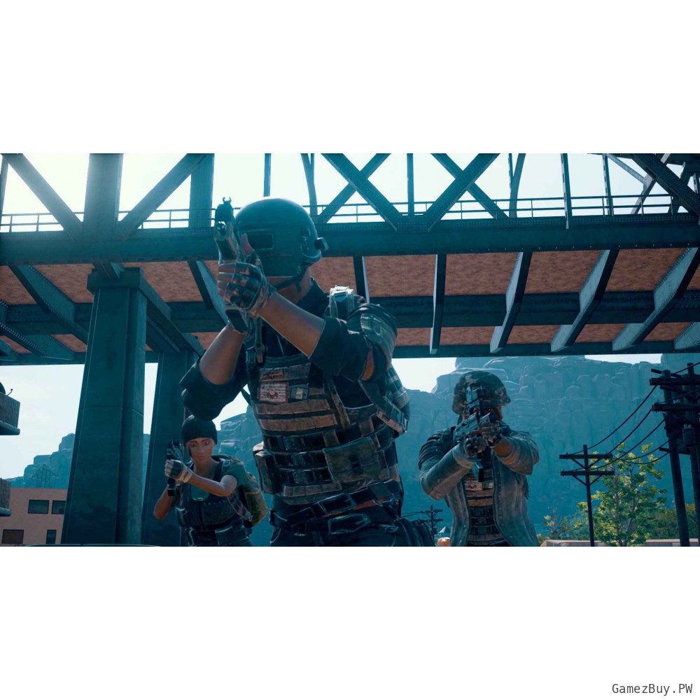 PUBG (Steam Gift СНГ)