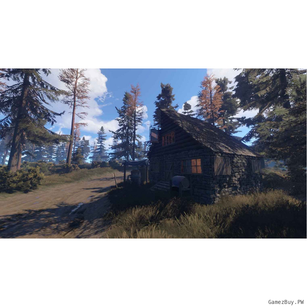 Rust