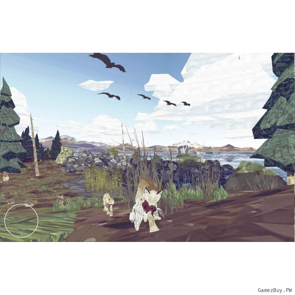 Shelter 2