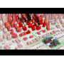 SimCity