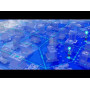 SimCity