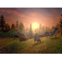 Spellforce - Platinum Edition