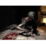 S.T.A.L.K.E.R.: Shadow of Chernobyl