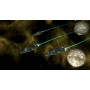 Stellaris: Humanoids Species Pack