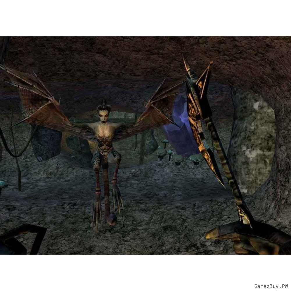 The Elder Scrolls III Morrowind Game of the Year Edition