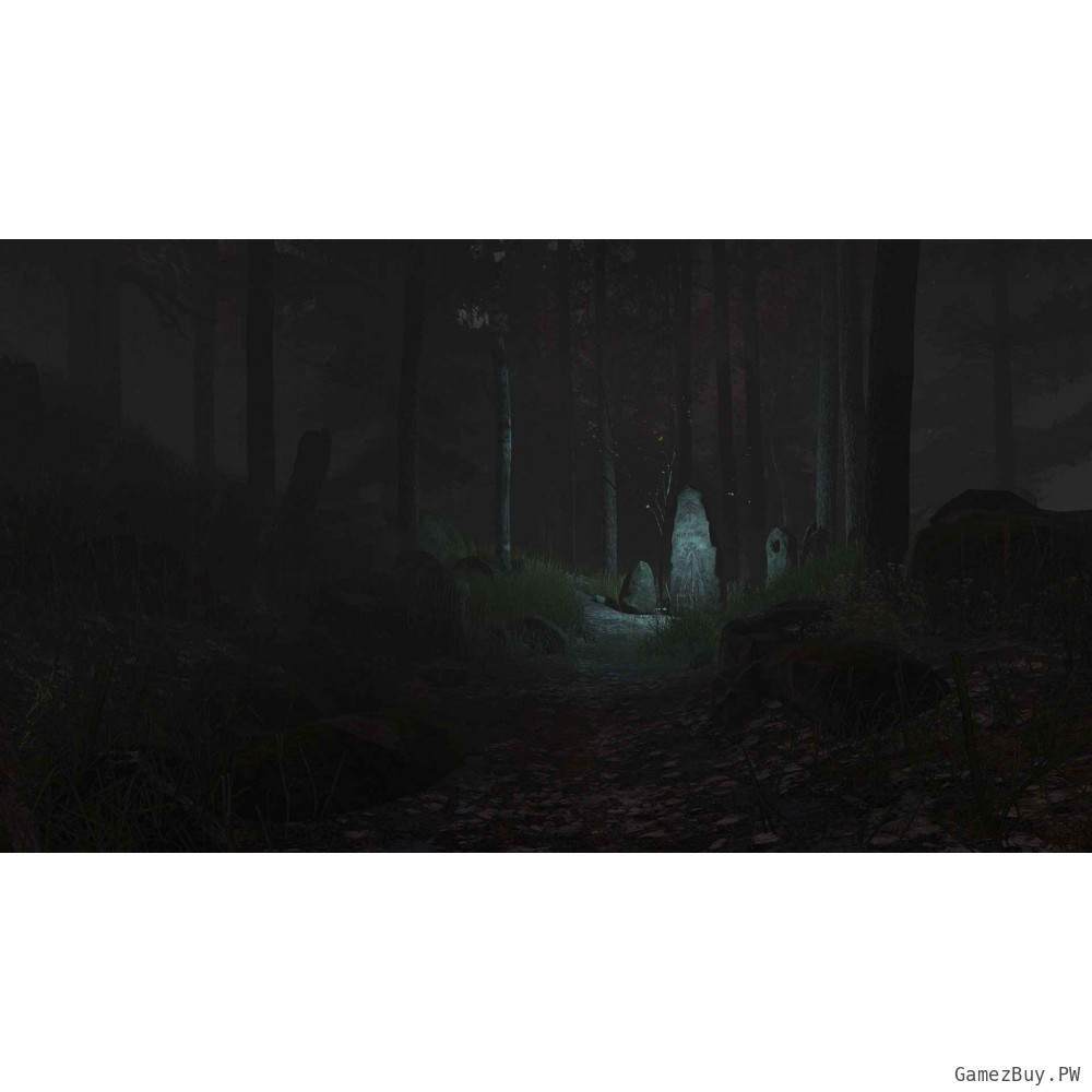 Through the Woods