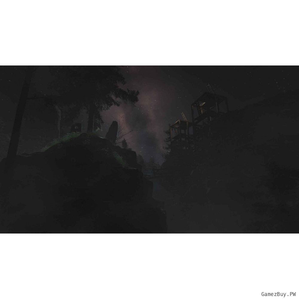 Through the Woods