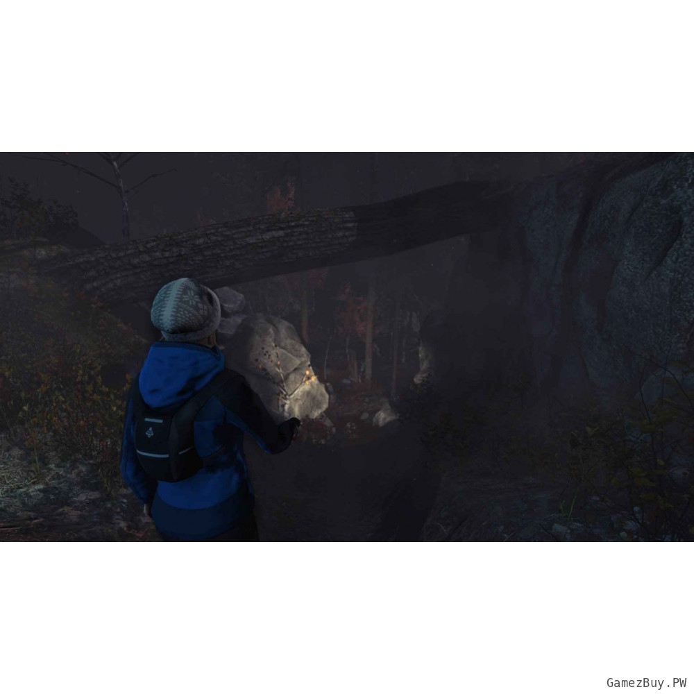 Through the Woods