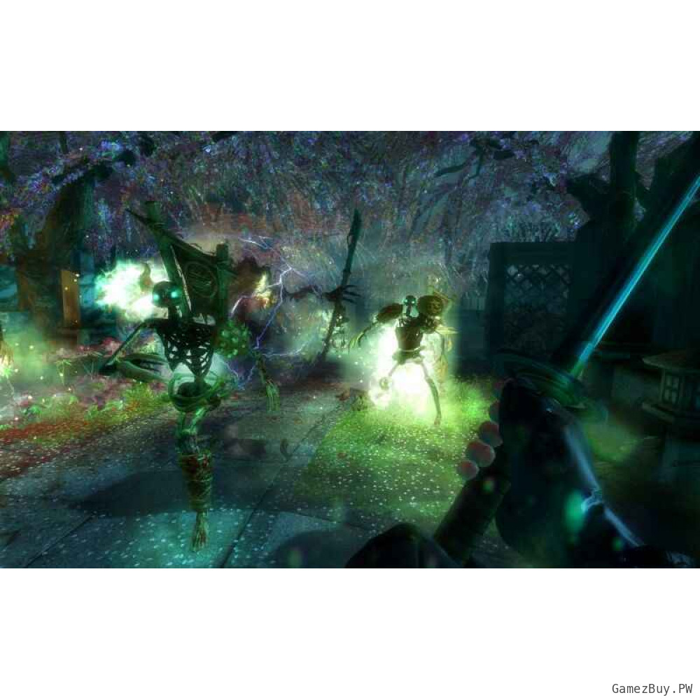 Shadow Warrior 