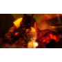 Shadow Warrior Русская Версия 