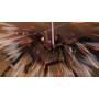 Sword Art Online: Fatal Bullet. Collector's Edition 