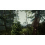 The Forest 