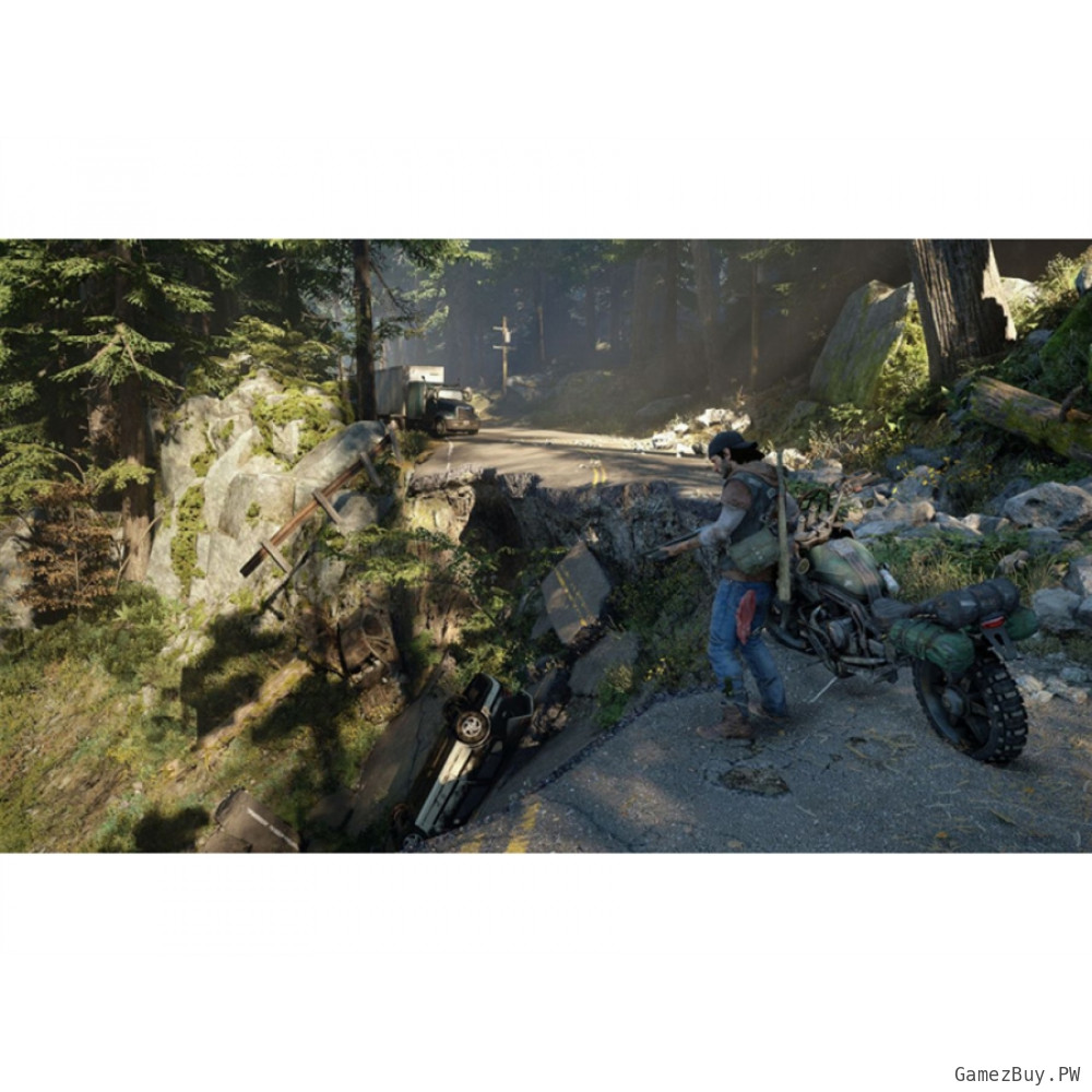 Коллекционное издание Days Gone (Жизнь после). Special Edition