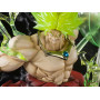 Фигурка из аниме Dragon Ball Z - Броли (Broly) The Burning Battles