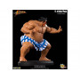 Статуя из игры Street Fighter - Эдмонд Хонда (Honda)