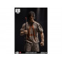 Фигурка из сериала Ходячие мертвецы -  Дерил Диксон (Daryl Dixon) Savior Prisoner