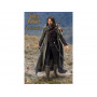 Фигурка из фильма Властелин колец - Арагорн (Aragorn)