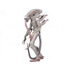 Фигурка из фильма Чужие - Чужой Альбинос (Albino Alien)